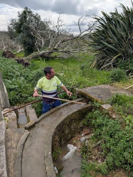 2026/3 - Convocat&oacute;ria para reuni&atilde;o sobre as limpezas das regadias