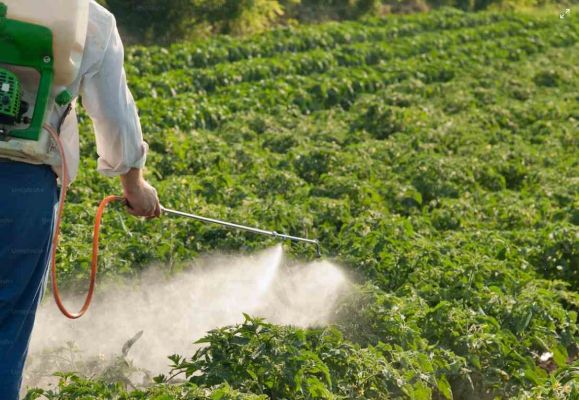 Altera&ccedil;&atilde;o da valihttps://www.ccdrc.pt/pt/90599-2/dade da habilita&ccedil;&atilde;o de aplicador de produtos fitofarmac&ecirc;uticos  